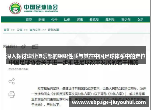 深入探讨建业俱乐部的组织性质与其在中国足球体系中的定位