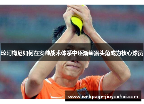 琼阿梅尼如何在安帅战术体系中逐渐崭露头角成为核心球员