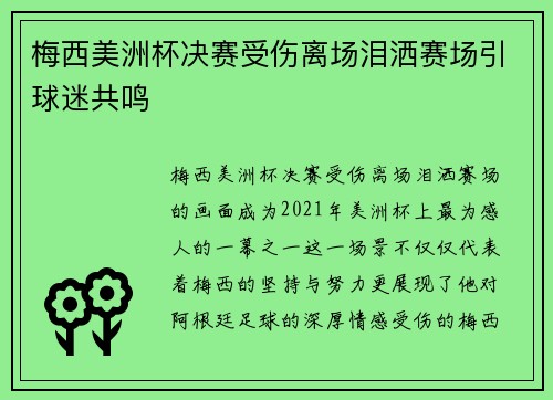 梅西美洲杯决赛受伤离场泪洒赛场引球迷共鸣 梅西美洲杯决赛受伤离场泪洒赛场引球迷共鸣
